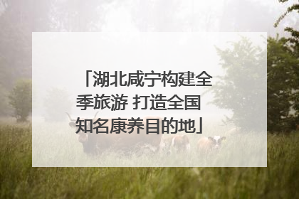 湖北咸宁构建全季旅游 打造全国知名康养目的地