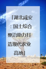 湖北咸安：国土综合整治助力打造现代农业高地