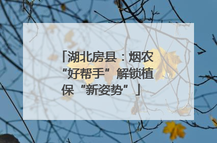 湖北房县：烟农“好帮手”解锁植保“新姿势”