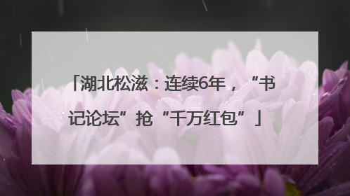 湖北松滋：连续6年，“书记论坛”抢“千万红包”