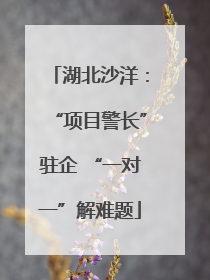 湖北沙洋：“项目警长”驻企 “一对一”解难题