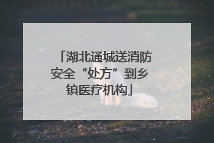 湖北通城送消防安全“处方”到乡镇医疗机构