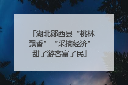 湖北郧西县“桃林飘香”“采摘经济”甜了游客富了民