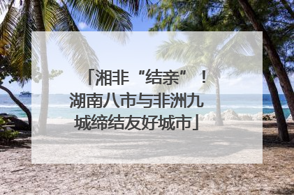 湘非“结亲”！湖南八市与非洲九城缔结友好城市