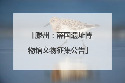 滕州：薛国遗址博物馆文物征集公告