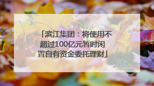 滨江集团：将使用不超过100亿元暂时闲置自有资金委托理财
