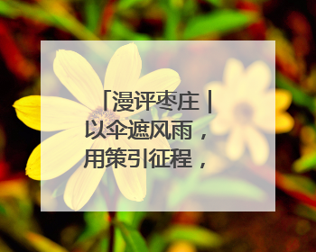 漫评枣庄｜以伞遮风雨，用策引征程，枣庄诚邀英才共赴山海！