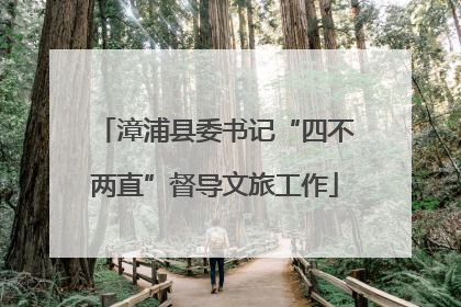 漳浦县委书记“四不两直”督导文旅工作