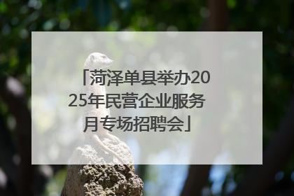 菏泽单县举办2025年民营企业服务月专场招聘会