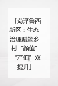 菏泽鲁西新区：生态治理赋能乡村“颜值”“产值”双提升