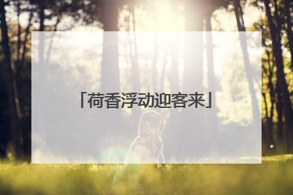荷香浮动迎客来