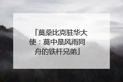 莫桑比克驻华大使：莫中是风雨同舟的铁杆兄弟