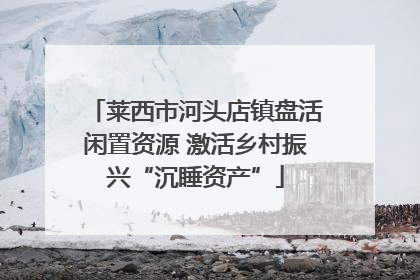 莱西市河头店镇盘活闲置资源 激活乡村振兴“沉睡资产”