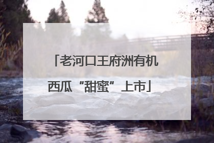 老河口王府洲有机西瓜“甜蜜”上市