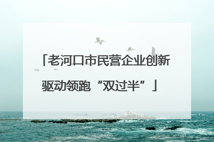 老河口市民营企业创新驱动领跑“双过半”