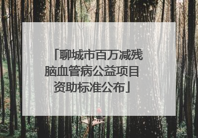 聊城市百万减残脑血管病公益项目资助标准公布