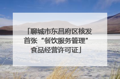 聊城市东昌府区核发首张“餐饮服务管理”食品经营许可证