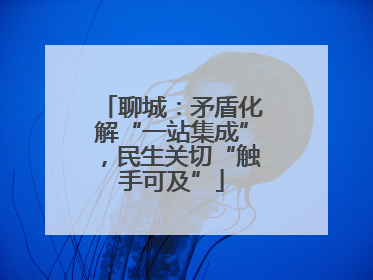 聊城：矛盾化解“一站集成”，民生关切“触手可及”