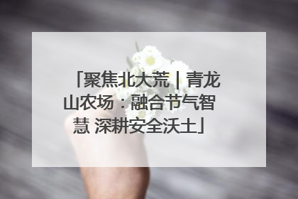 聚焦北大荒｜青龙山农场：融合节气智慧 深耕安全沃土