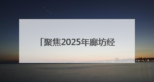 聚焦2025年廊坊经洽会丨京津冀首个AI招商选址大模型亮相