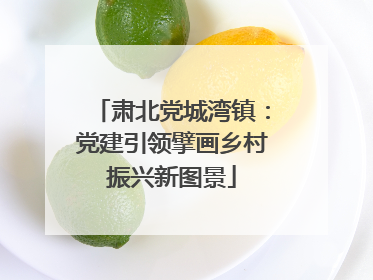 肃北党城湾镇：党建引领擘画乡村振兴新图景