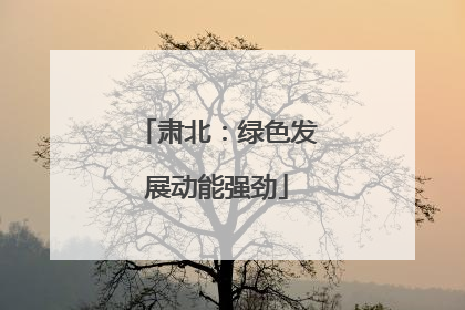 肃北：绿色发展动能强劲