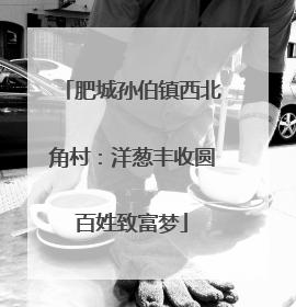 肥城孙伯镇西北角村：洋葱丰收圆百姓致富梦