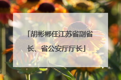 胡彬郴任江苏省副省长、省公安厅厅长