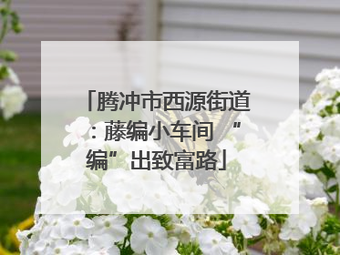 腾冲市西源街道：藤编小车间 “编”出致富路