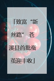 致富“新丝路” 苍溪县首批蚕茧迎丰收
