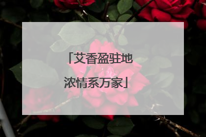 艾香盈驻地 浓情系万家