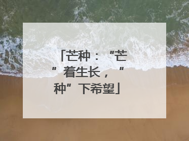 芒种：“芒”着生长，“种”下希望