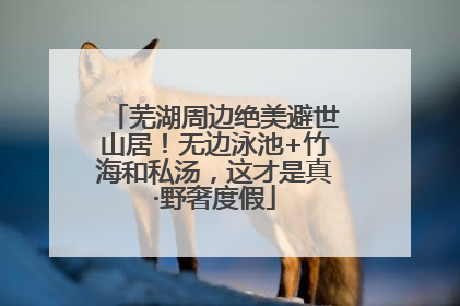 芜湖周边绝美避世山居！无边泳池+竹海和私汤，这才是真·野奢度假
