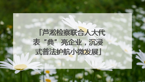 芦淞检察联合人大代表“典”亮企业，沉浸式普法护航小微发展