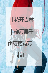 花开吉林｜柳河县千亩芍药竞芳菲