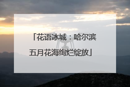 花语冰城：哈尔滨五月花海绚烂绽放