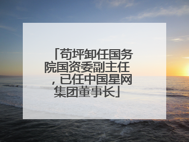 苟坪卸任国务院国资委副主任，已任中国星网集团董事长
