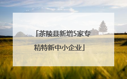 茶陵县新增5家专精特新中小企业