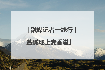 融媒记者一线行｜盐碱地上麦香溢