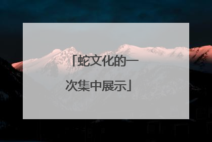 蛇文化的一次集中展示