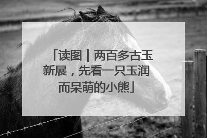 读图｜两百多古玉新展，先看一只玉润而呆萌的小熊