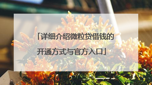 详细介绍微粒贷借钱的开通方式与官方入口