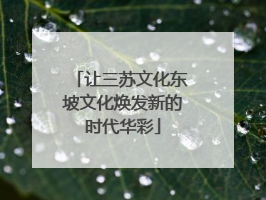 让三苏文化东坡文化焕发新的时代华彩
