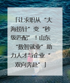 让求职从“大海捞针”变“秒级匹配”！山东“数智就业”助力人才与企业“双向奔赴”