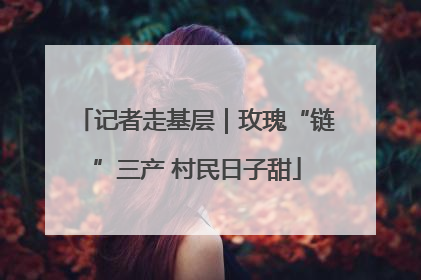 记者走基层｜玫瑰“链”三产 村民日子甜