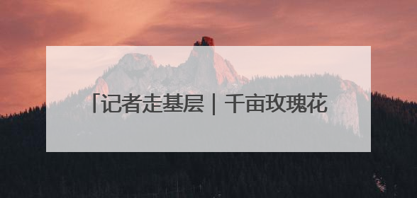 记者走基层｜千亩玫瑰花开 美景带来“钱景”