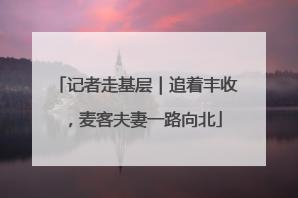 记者走基层｜追着丰收，麦客夫妻一路向北