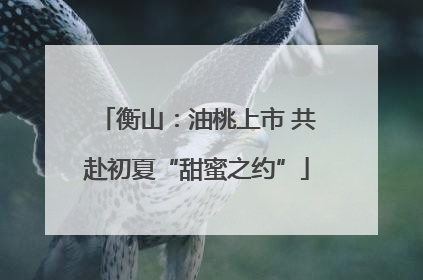 衡山：油桃上市 共赴初夏“甜蜜之约”