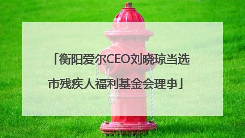 衡阳爱尔CEO刘晓琼当选市残疾人福利基金会理事