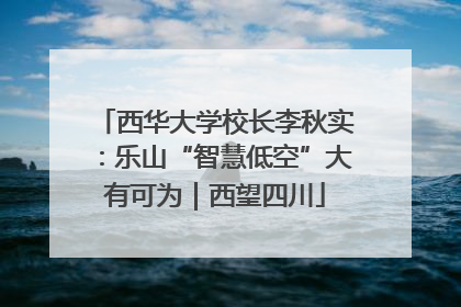西华大学校长李秋实：乐山“智慧低空”大有可为｜西望四川